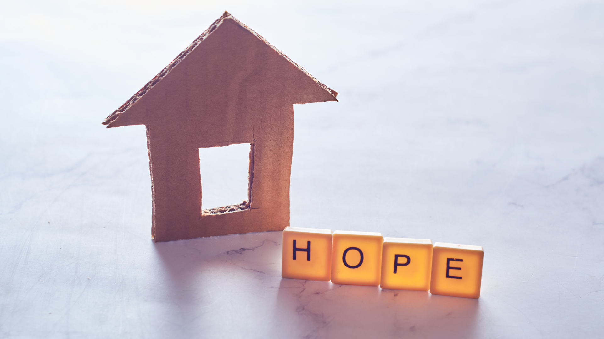 Homelessness Action Now: Brophy joins the cause